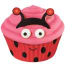 Ladybird Cupcake Decorating Kit